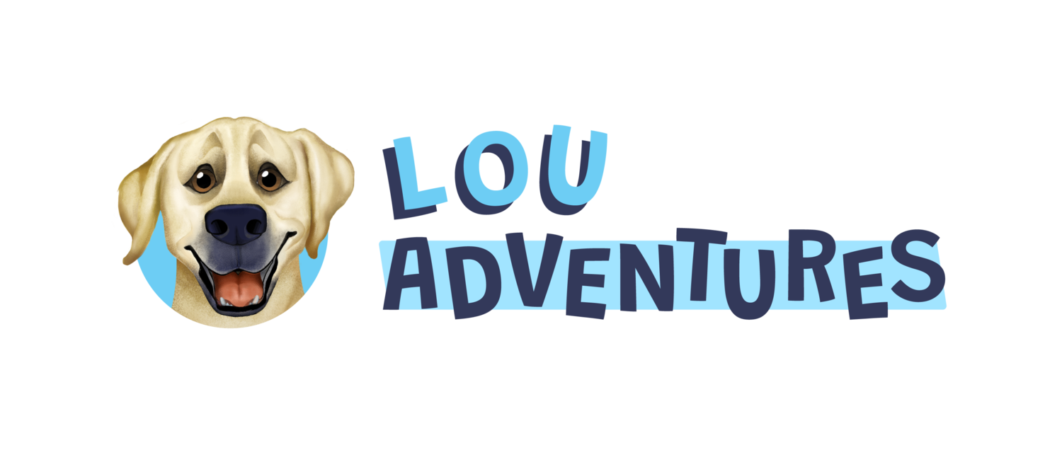 Lou-Adventures-Web-FullColor (1)